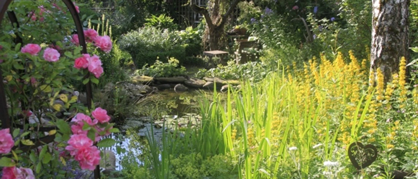 Gartenglück Apfelreich Ein Garten mit vielen Blumen. Ein kleiner Teich liegt zwischen den Pflanzen.