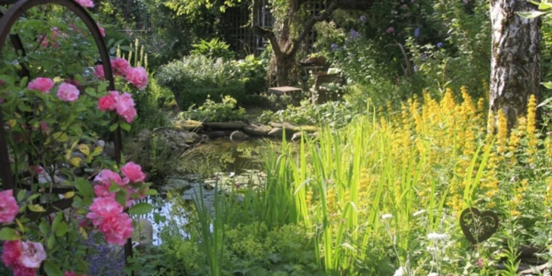 Gartenglück Apfelreich Ein Garten mit vielen Blumen. Ein kleiner Teich liegt zwischen den Pflanzen.