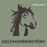 geltingerbirktoern_piktogramm geltingerbirktoern_piktogramm