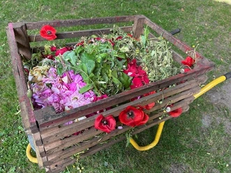 Schubkarre mit Blumen 2025.jpg