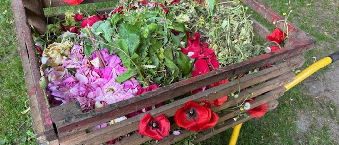 Schubkarre mit Blumen 2025.jpg