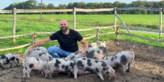 ElseLiebe Mann hockt im Freigehege zwischen schwarz-weiß gefleckten Ferkeln auf dem Hof.
