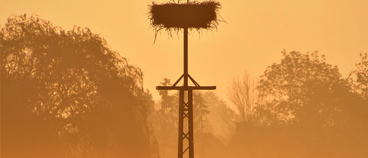 LIPPETAL - Der Storch ist aufgestanden (Franziska Schwienbacher) - quer.jpg