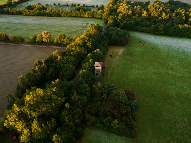 Luftaufnahme Aussichtsturm