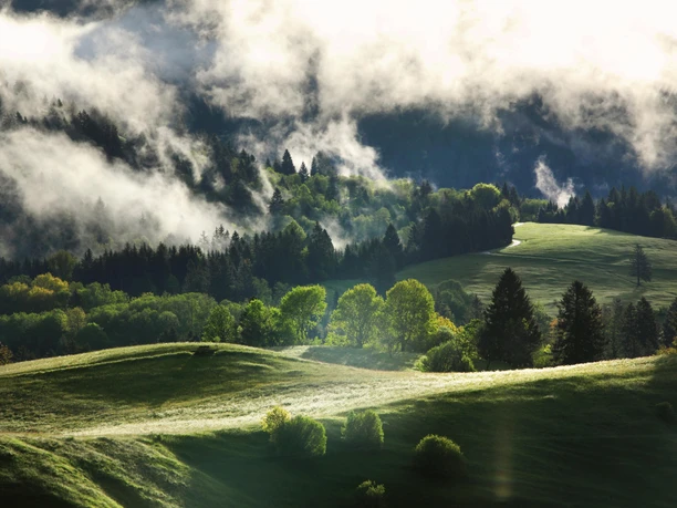 Bergmischwald und Wiesen bei Unterammergau