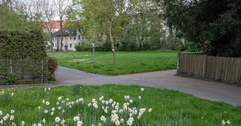 Hitliste-der-unbekannten-Parks_Heimbach-Gruenzug-2.jpg