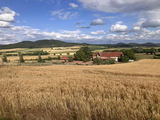 Blick auf den Kastanienhof