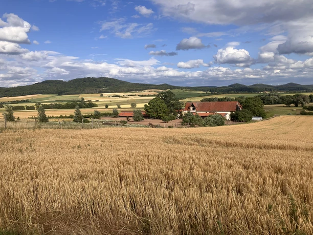 Blick auf den Kastanienhof