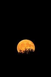 Vollmond