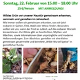 Wildkräuter Spaziergang 22.2.26