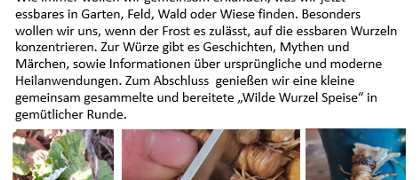 Wildkräuter Spaziergang 22.2.26