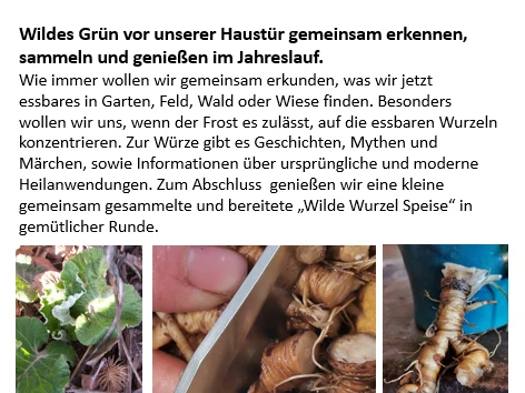 Wildkräuter Spaziergang 22.2.26