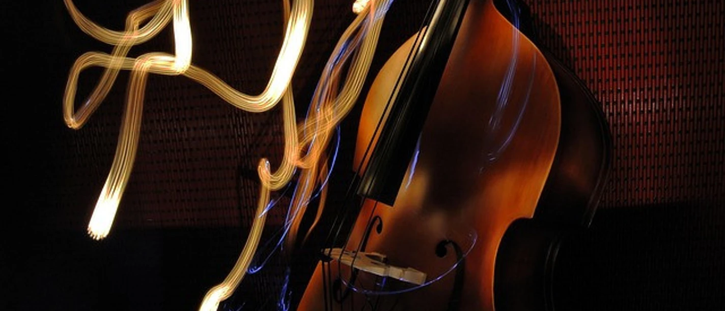 double-bass-1545824_640