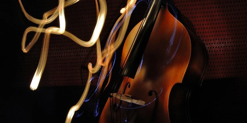 double-bass-1545824_640