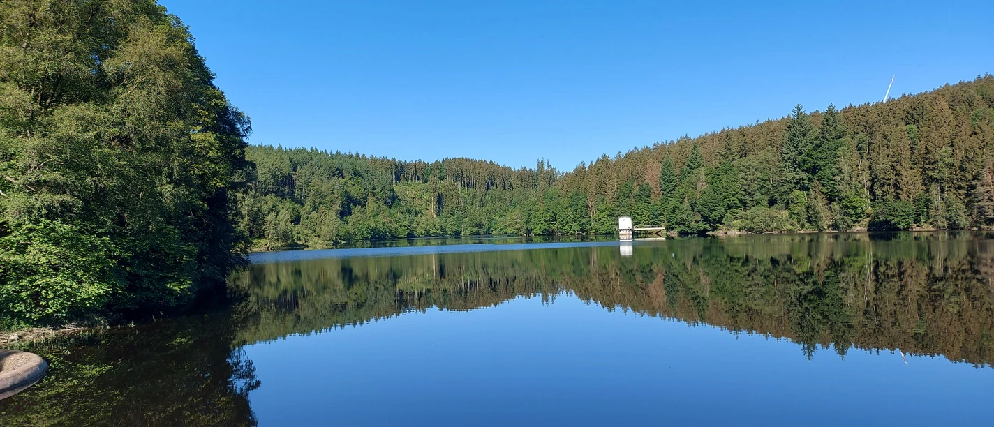 Kalltalsperre Juni-August (co) Theißen-Braun