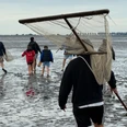 Krabbenfischen Personengruppe im Watt zum Krabbenfischen