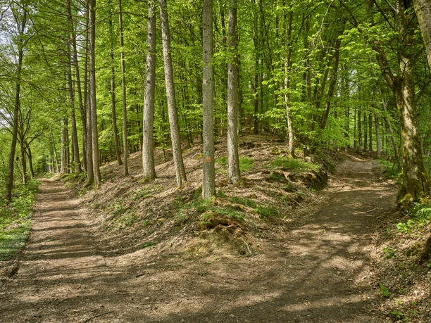 latenezeitlicher-verhuettungsplatz-gerhardseifen (1).jpg