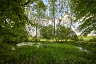 Lahnquelle Nenkersdorf, Netphen Lahnquelle Nenkersdorf, Netphen