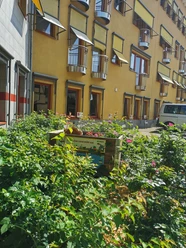 Kartoffelrosen_und_Hochbeet.jpg