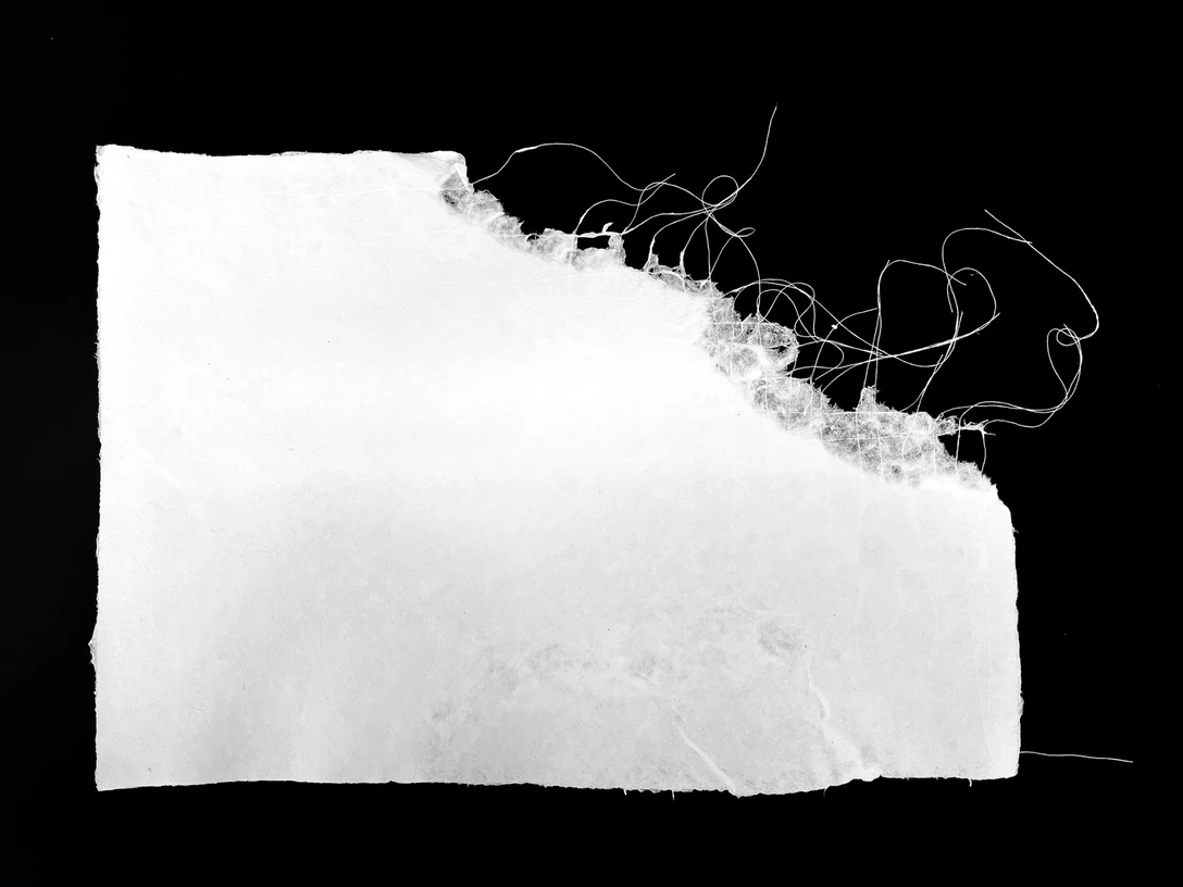 Anali Vakili,30x40cm-Handmade paper-2025 Kopie.jpeg