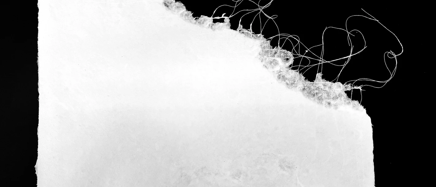 Anali Vakili,30x40cm-Handmade paper-2025 Kopie.jpeg