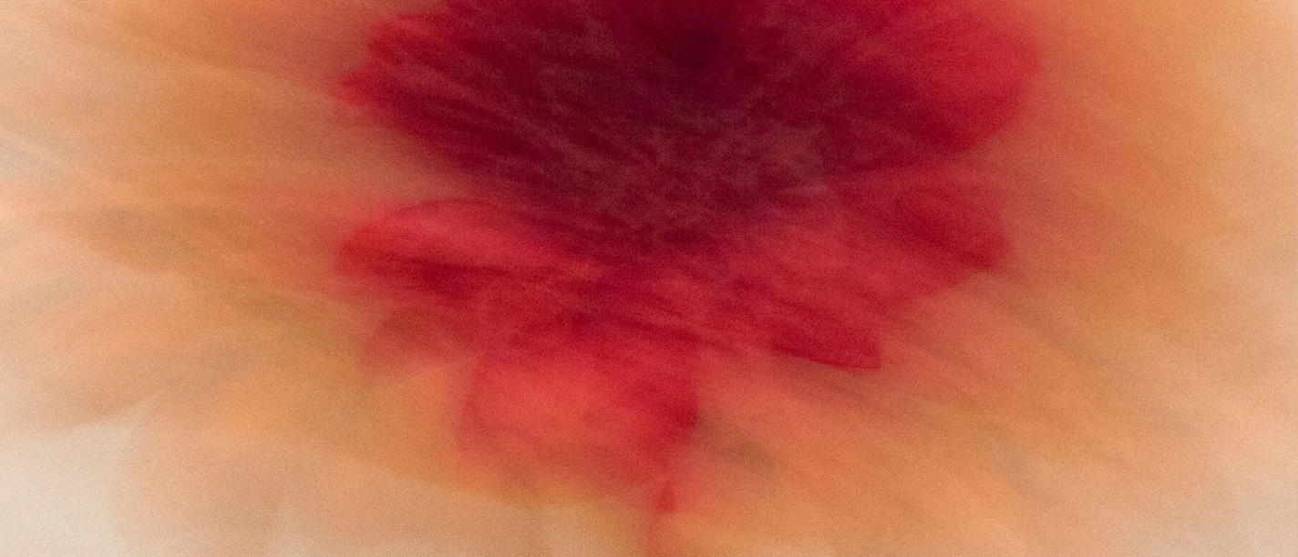 Stadtlese März 2026.jpg