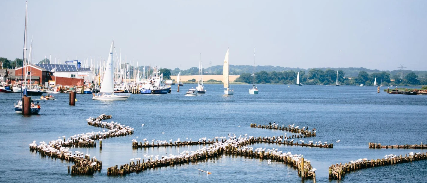 Kappeln-schleidoerfer tag-217-Sinnlicht_Fotografie - Kopie.JPG