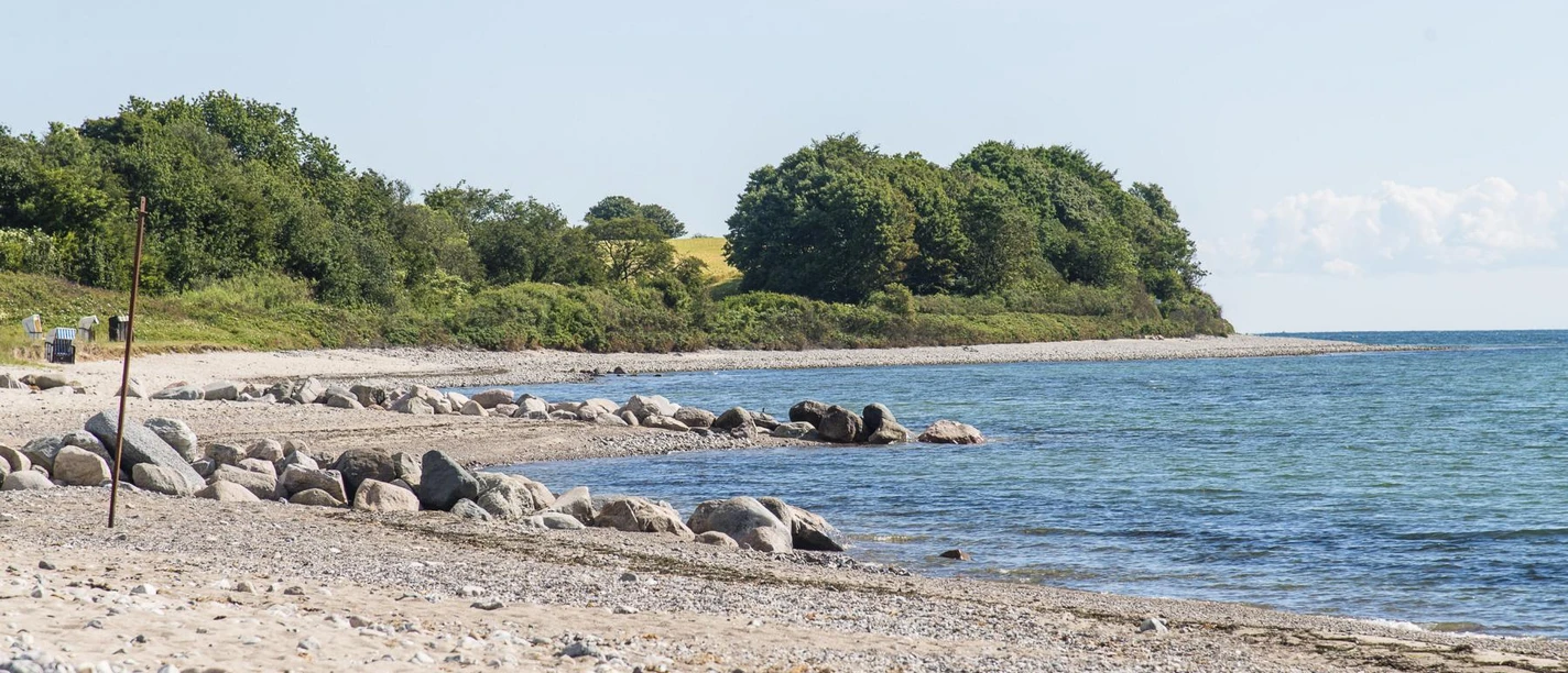 langholz-ostsee-1842-Henrik_Matzen - Kopie.JPG