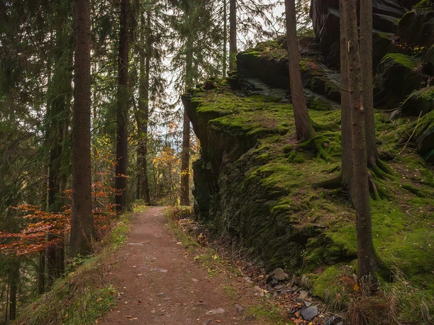Wanderweg durch den Wald - Floßgraben