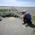 Fotografiekurs in Friedrichskoog