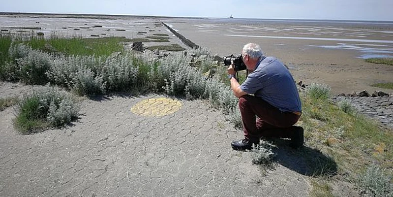 Fotografiekurs in Friedrichskoog