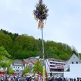 Maibaumstellen
