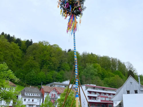 Maibaumstellen