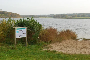 bueltsee-giese.JPG