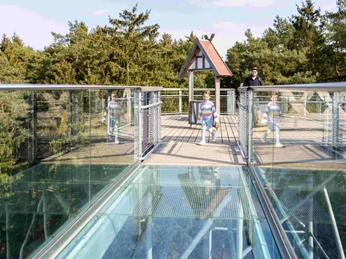 2025_03_23_Heide_Himmel_002.jpg Kinder laufen über den gläsernen Steg des Baumwipfelpfads Heide Himmel mit Blick auf grüne Baumkronen.