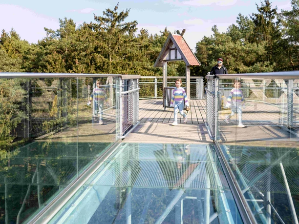 2025_03_23_Heide_Himmel_002.jpg Kinder laufen über den gläsernen Steg des Baumwipfelpfads Heide Himmel mit Blick auf grüne Baumkronen.