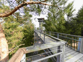 2025_03_23_Heide_Himmel_030.jpg Metallsteg führt barrierefrei zwischen Baumwipfeln zu einem Aussichtsturm über grünem Waldgebiet.