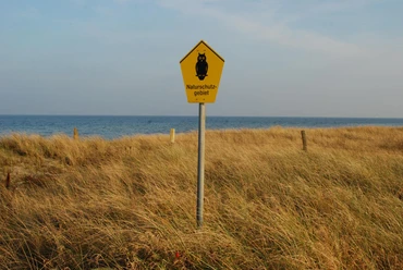 schleimuende_giese.JPG