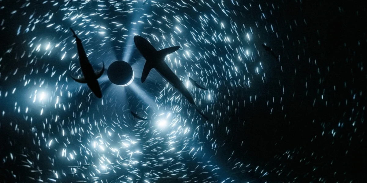 Julian Charrière, Midnight Zone (Videostill), 2024