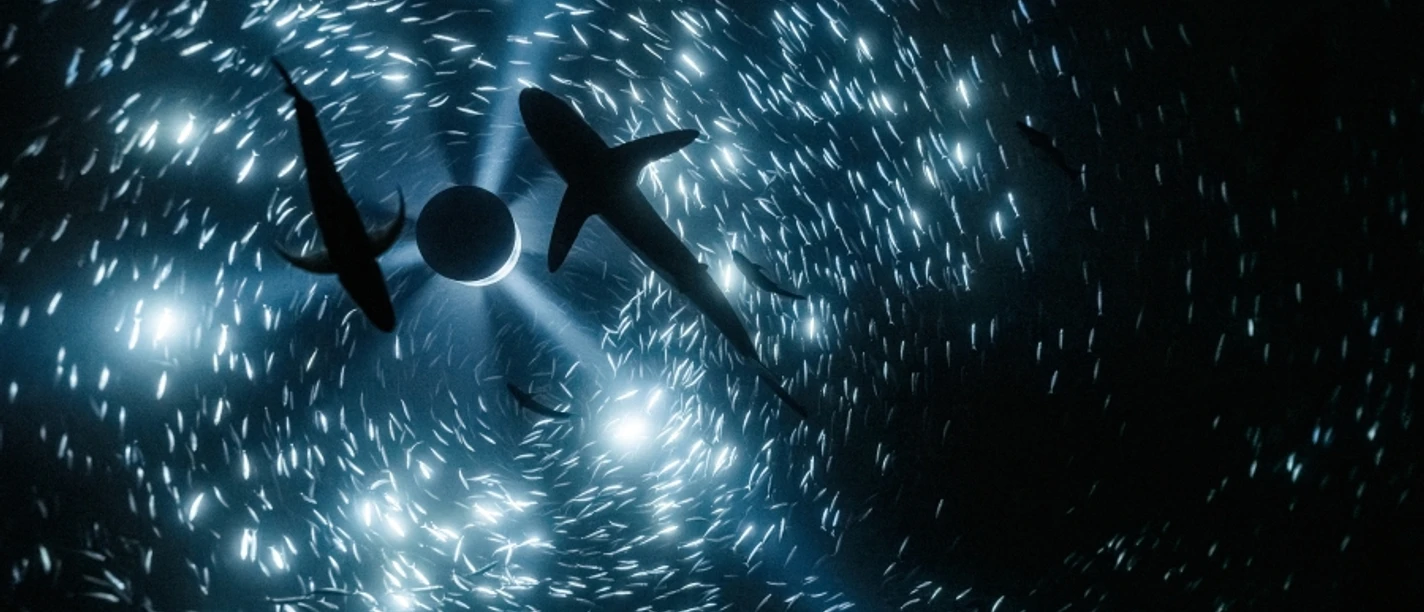 Julian Charrière, Midnight Zone (Videostill), 2024