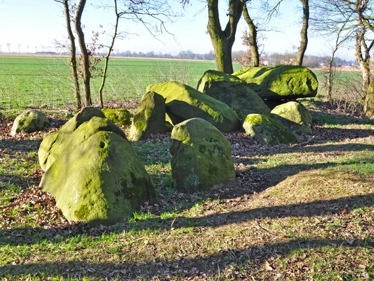 Grabhügelfeld auf dem Windberg, Werpeloh ©Emsland Tourismus GmbH (3).jpg
