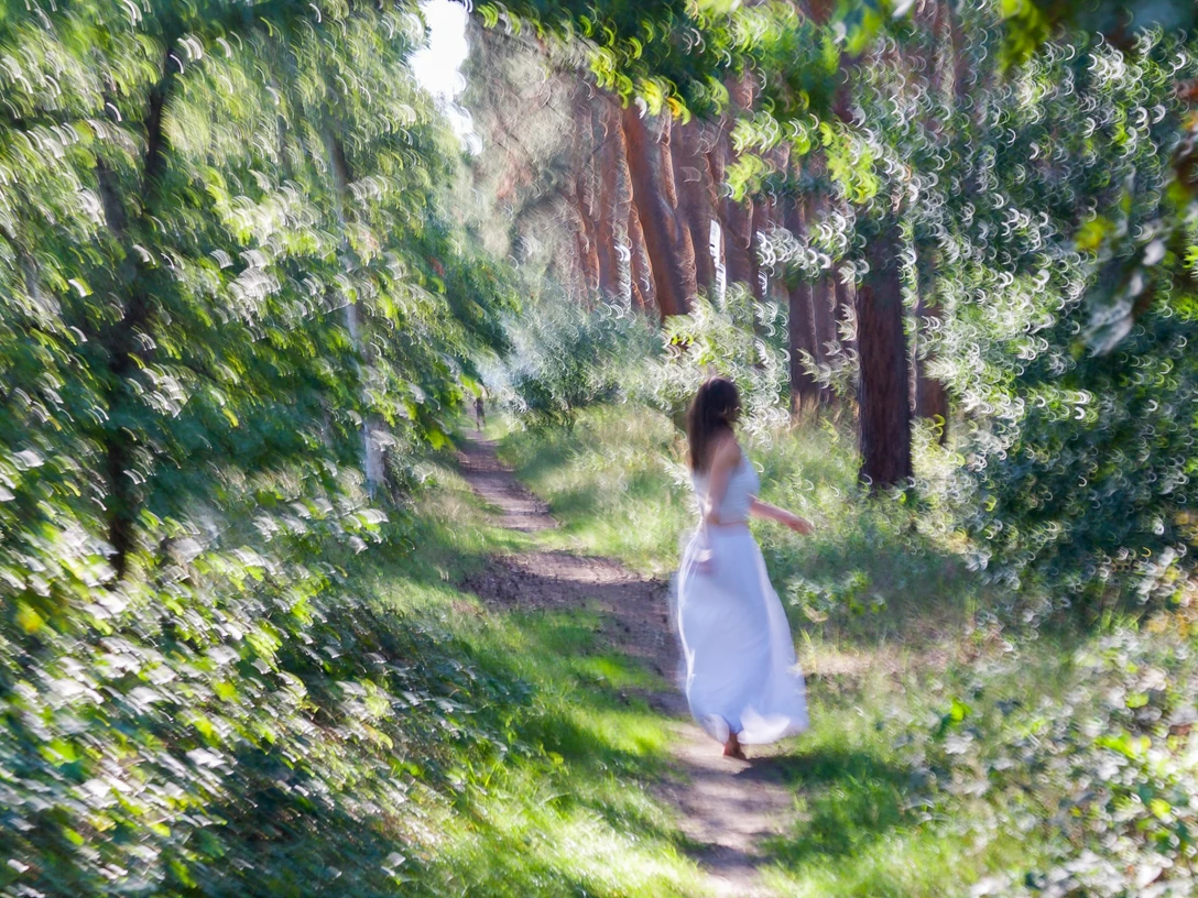 Copyright Lessinggymnasium,BS.jpg