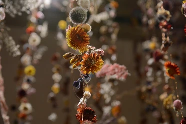 Rebecca Louise Law, Community 2018, Toldeo Museum of Art Courtesy of Richard Todd.JPG