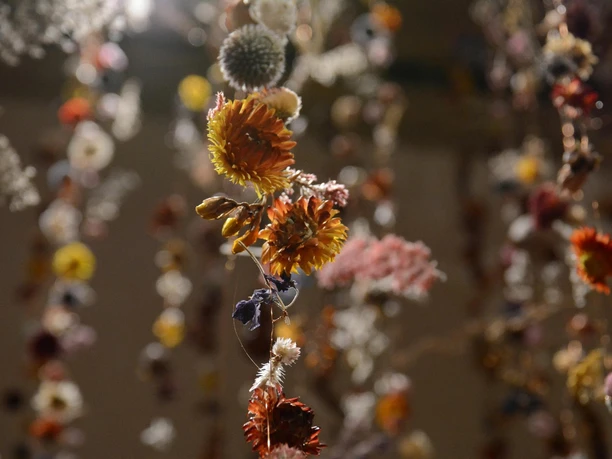 Rebecca Louise Law, Community 2018, Toldeo Museum of Art Courtesy of Richard Todd.JPG