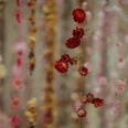 Rebecca Louise Law, The Womb, 2019, Frederik Meijer Gardens & Sculpture Park Courtesy of Scott Rasmussen.JPG