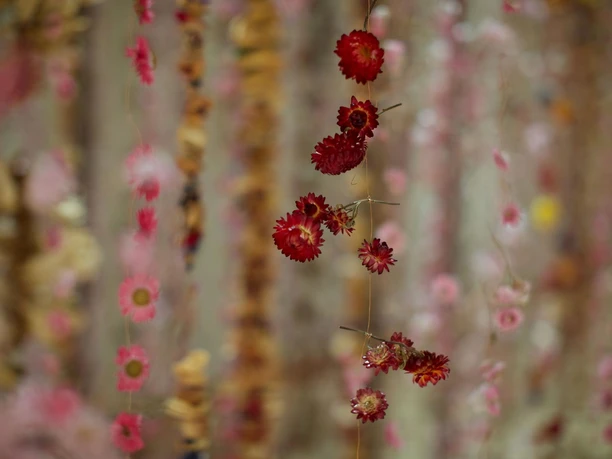 Rebecca Louise Law, The Womb, 2019, Frederik Meijer Gardens & Sculpture Park Courtesy of Scott Rasmussen.JPG