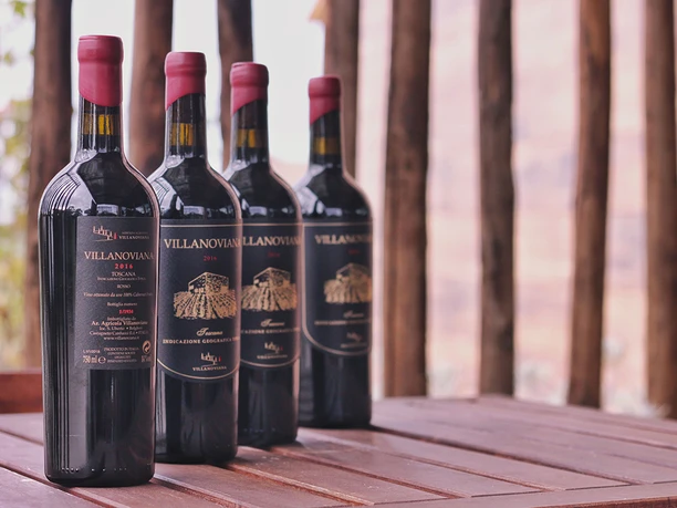 Wine and Dine Villanoviana