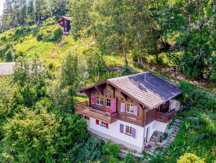 bcd54da2-f400-49da-95f5-006eae6898ab-958bed77-fcd6