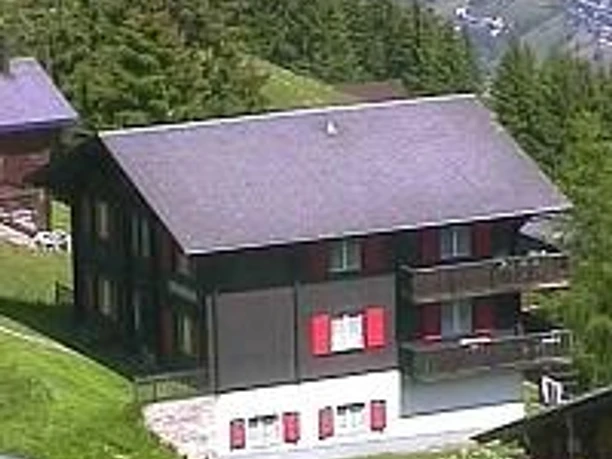 Aussenansicht Sommer