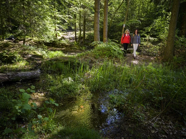 Auf der Traumschleife Der Bergener